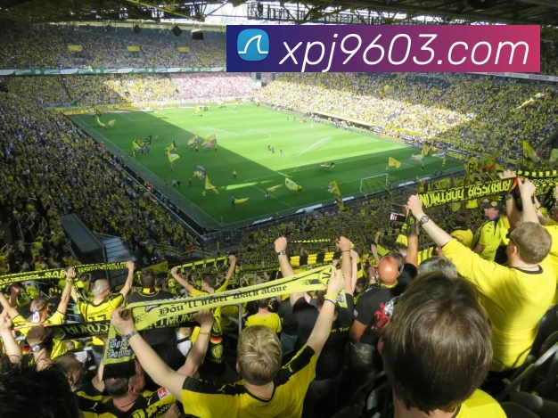 澳门新葡京官网服务体系